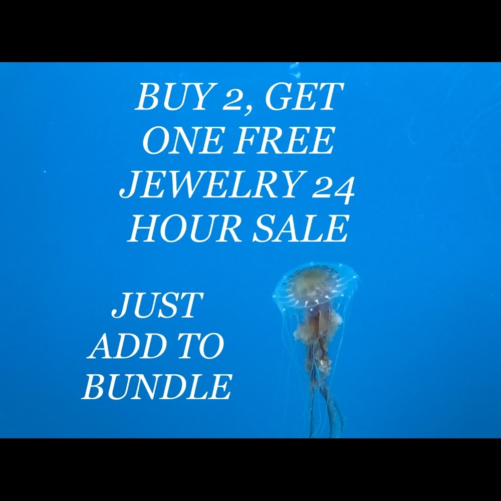💍💍24 HOUR-BUY 2 GET 1 FREE JEWELRY SALE